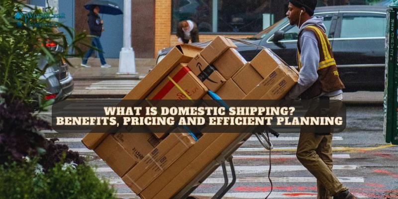 What is domestic shipping.jpg What is domestic shipping