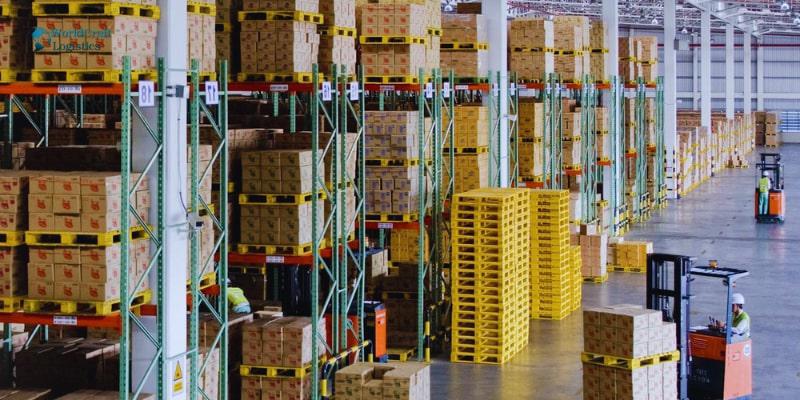 The Importance of Warehouse Equipment.jpg The Importance of Warehouse Equipment