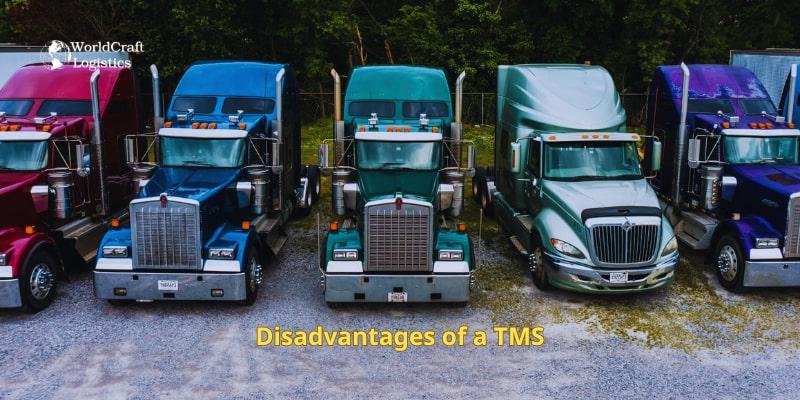 Disadvantages of a TMS