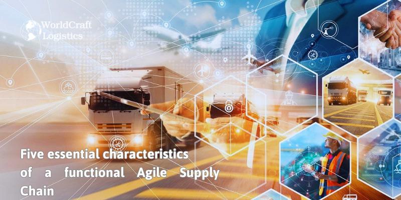 Five essential characteristics of a functional Agile Supply Chain.jpg Five essential characteristics of a functional Agile Supply Chain