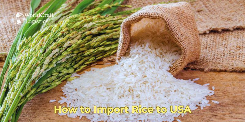 How to Import Rice to USA.jpg How to Import Rice to USA