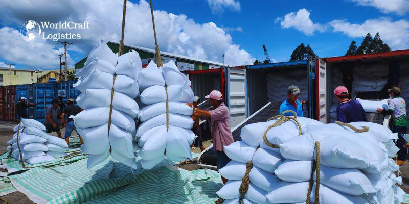 rice export images 5.jpg Pack rice into containers for transportation
