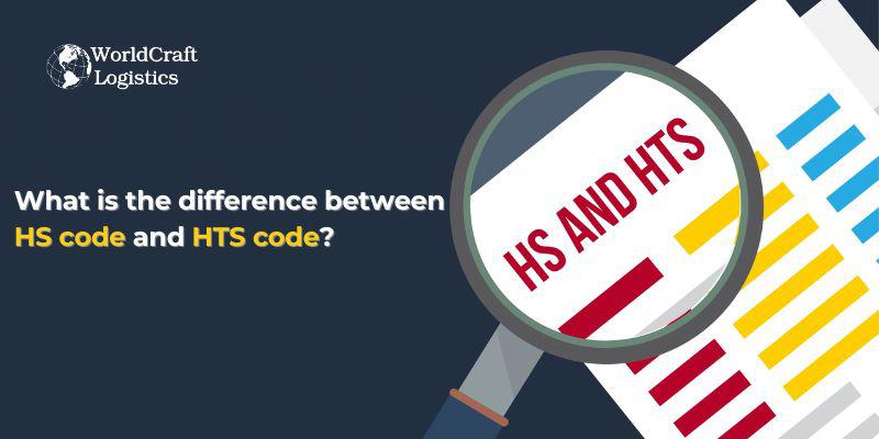 What is the difference between HS code and HTS code.jpg What is the difference between HS code and HTS code?